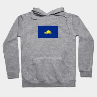 Oregon State Flag, The B Side Hoodie